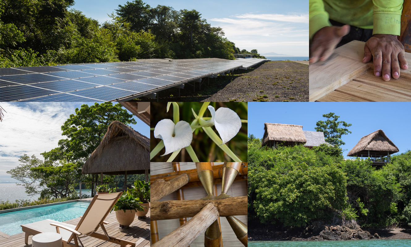 image collage depicting our lodge's commitment to sustainability like a solar panel array, locally sourced wood finishes and local flora